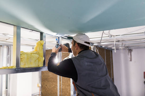 Best Blown-in Insulation in Zephyrhills North, FL