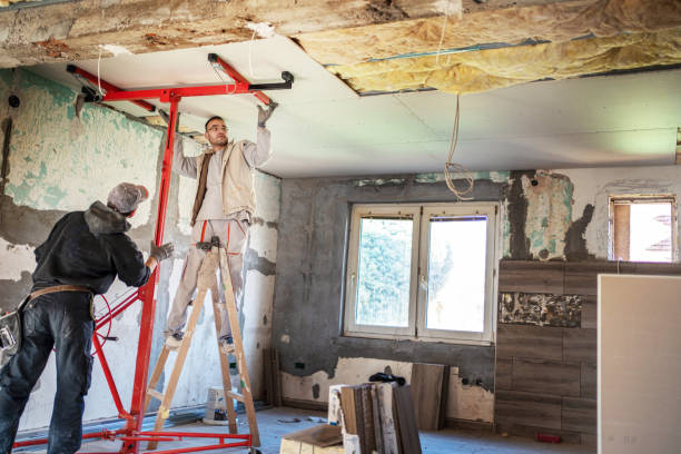 Best DIY Insulation Kits and Guidance in Zephyrhills North, FL