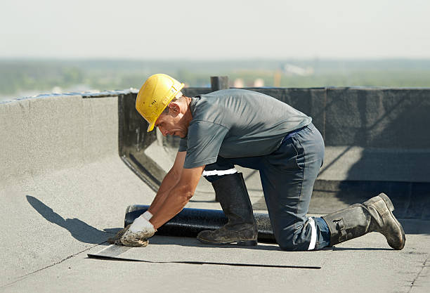 Reliable Zephyrhills North, FL Insulation Contractor Solutions