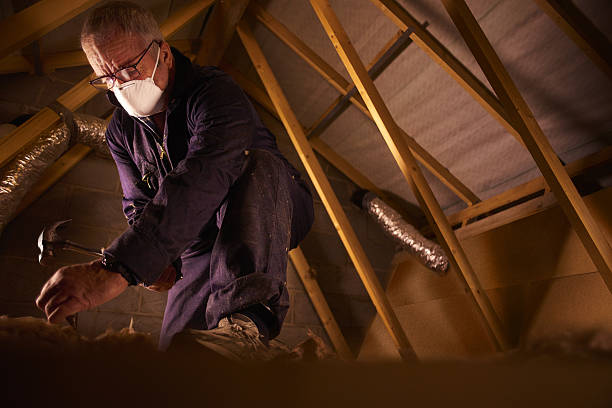 Best Eco-Friendly Insulation in Zephyrhills North, FL